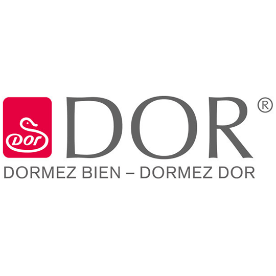Dorbena Ganzjahres-Daunenduvet CAMELIA PRO Gänsedaunen