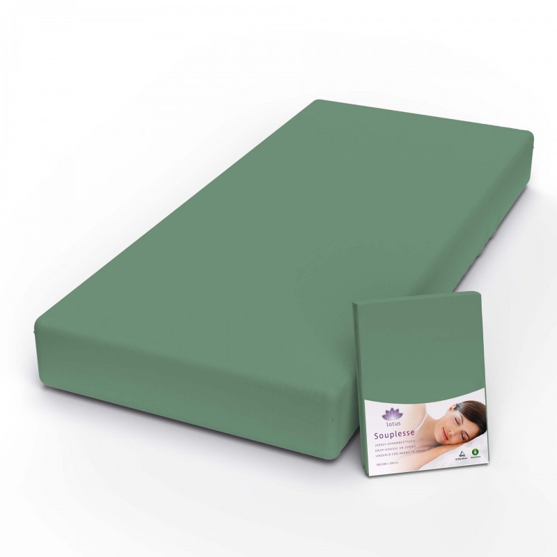 Fixleintuch Jersey Souplesse efeu 41